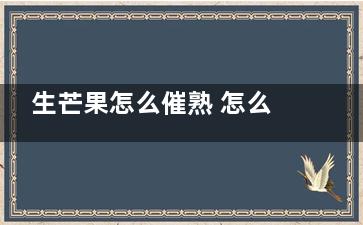 生芒果怎么催熟 怎么催熟生芒果,生芒果怎么催熟又不坏